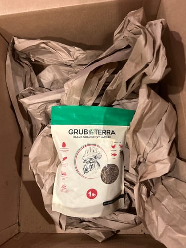 Customer photo review of GrubTerra Dried Larvae Sample