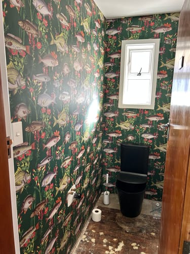 Customer photo review of Lagoon Fish Wallpaper - Green - Discontinuing