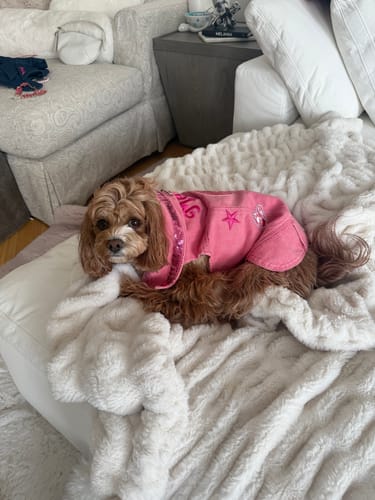 Customer photo review of Pink Dolly Vest