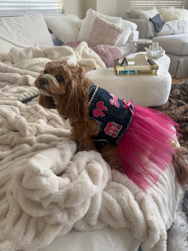 Customer photo review of Barbie Harness Dress