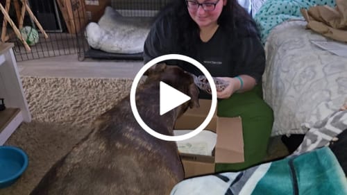 Customer video review of Mika and Sammy's Gift Card