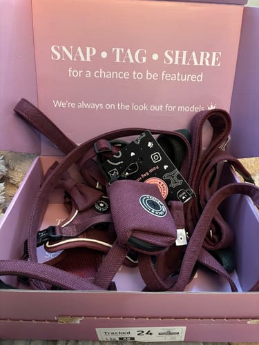 Customer photo review of Fabric Dog Lead 5ft - Mulberry Tweed