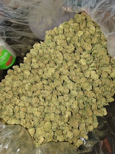Customer photo review of AK-47 - Greenhouse THCA (Smalls)