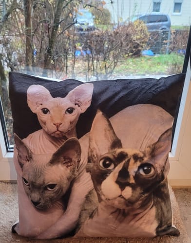 Daniela G. review of Fotokissen - Individuelles Kissen image 1 out of 1