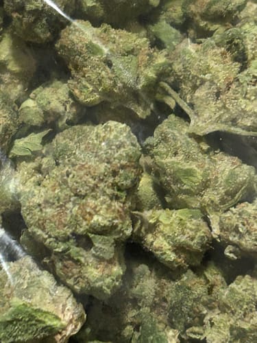 Customer photo review of Slurry - Greenhouse THCA (Smalls)