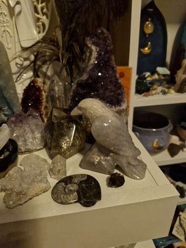 Customer photo review of Raven Carving ~ Blue Quartz