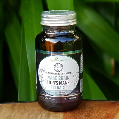 Customer photo review of Mane Brain (Lion’s Mane + Phosphatidylserine) 60s