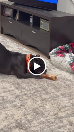 Customer video review of The Essential Treat Pack