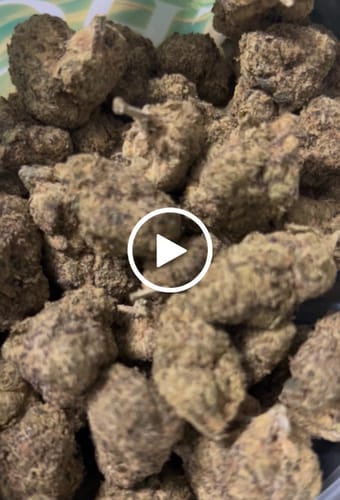 Customer video review of Head Stash – Budget THCA
