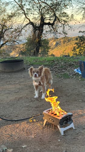 Customer photo review of The Howl R1