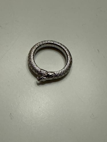 Customer photo review of OUROBOROS RING