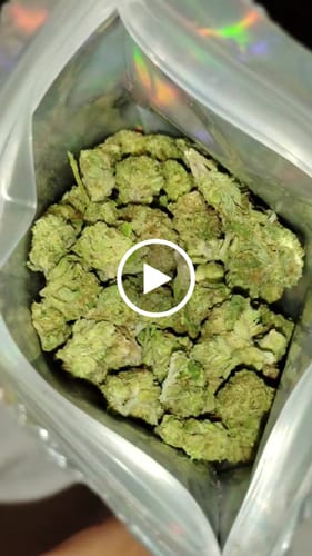 Customer video review of Greenhouse Smalls