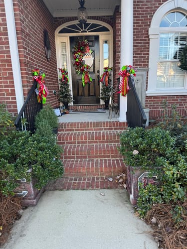 Customer photo review of Christmas Bow - Medium Streamer