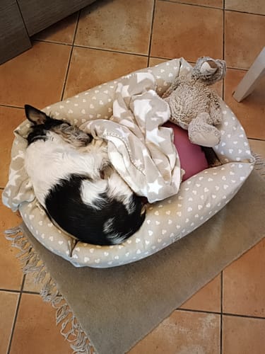 Customer photo review of Divanetto Cotone Panama Ecru' Pois Bianchi