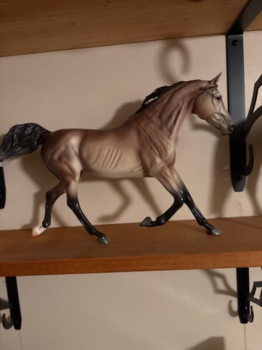 Customer photo review of Windy Meadows | Breyer Model Horse