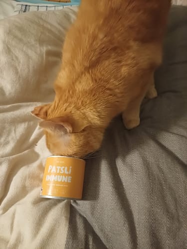 Customer photo review of Patsli® Immune