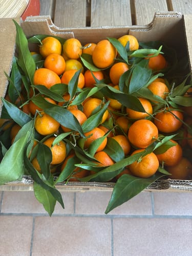 Valerie L. review of Clémentines Bio - Origine Corse image 1 out of 1