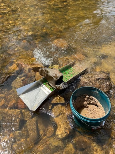 Customer photo review of 888 Gold Rat sluice - with Mini cell Dream mat