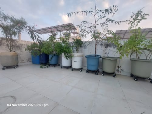Customer photo review of United Crafts Rozy Wheel Pot Stands for Planters