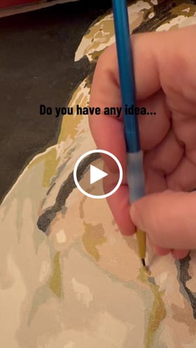 Customer video review of Paint By Numbers - Pets