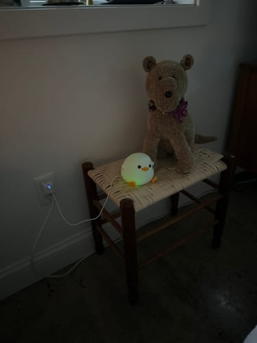 Customer photo review of Dodo the Bean Duck