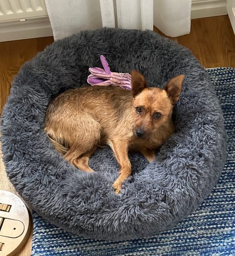 Customer photo review of CalmBed - Motverkar stress & hjälper mot ångest