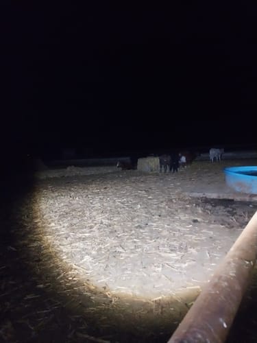 Customer photo review of BADA** FLASHLIGHT