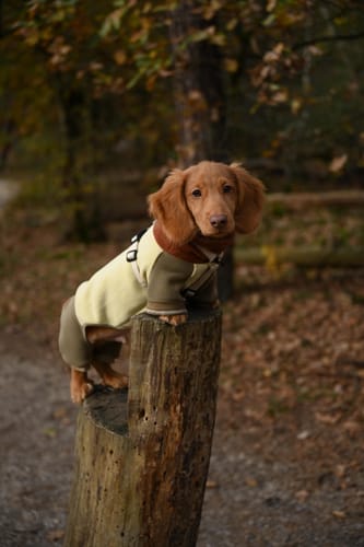 Customer photo review of Cloud Dual-Fleece Suit