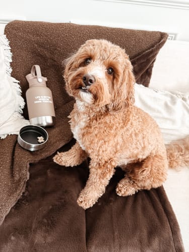 Customer photo review of The Bowl Bottle 2.0 | 3-in-1 Travel Bottle