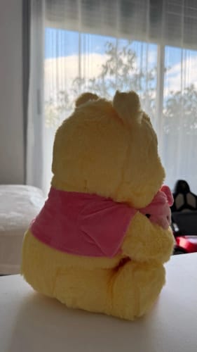 Customer photo review of Disney Winnie The Pooh Hugging Piglet Plush Toy