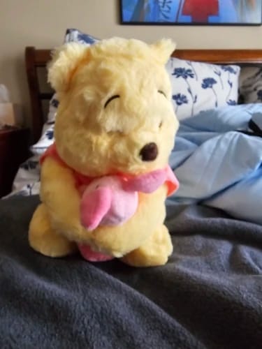 Customer photo review of Disney Winnie The Pooh Hugging Piglet Plush Toy