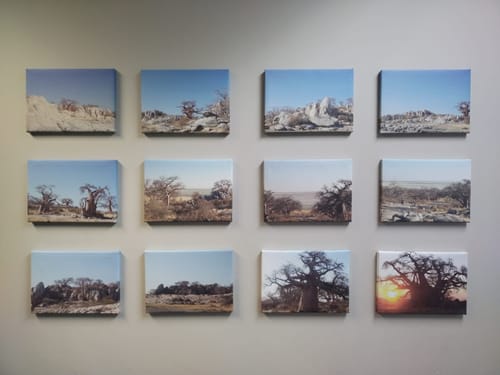 Customer photo review of 12 x A4 Canvas Combo