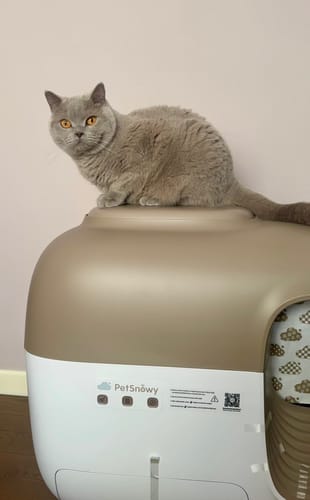 Customer photo review of Self-Cleaning Litter Box