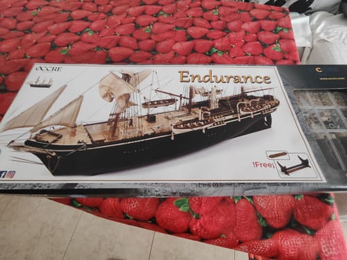 Reseña con foto de un cliente sobre Maqueta Barco Endurance