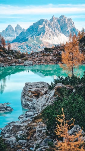 Customer photo review of Woodland+ Subscription