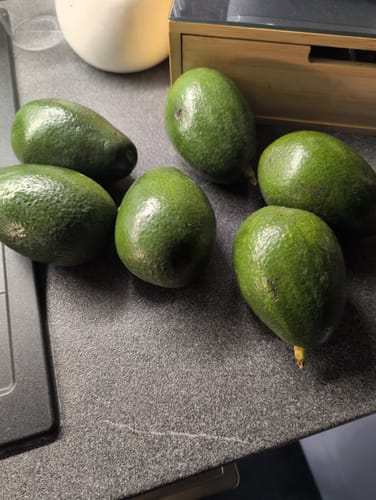 Customer photo review of Avocado Bacon Bio von Julian