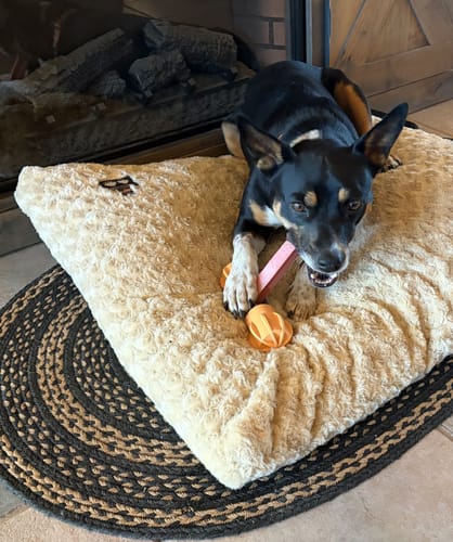 Customer photo review of Strawberry Yak Chews