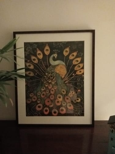 Customer photo review of Vintage Peacock No3 Print