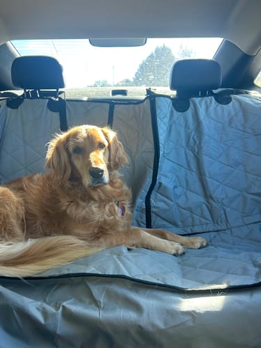 Customer photo review of Rear Seat Cover for Fold Down Seats - No Hammock - Regular