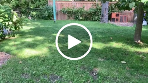 Customer video review of Ruffwear Hydro Plane