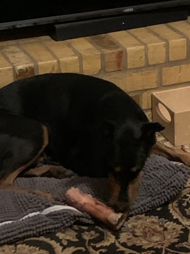 Customer photo review of Smoked Beef Marrow Bone