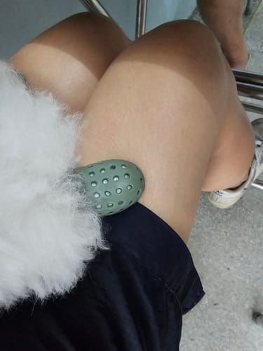 Siriporn review of WagWellies® Mojave image 1 out of 2