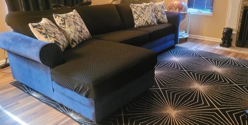 Customer photo review of Pet Proof Magic Sofa Cover, Scratch Resistant & Anti-Slip Stretch Fit, Machine Washable
