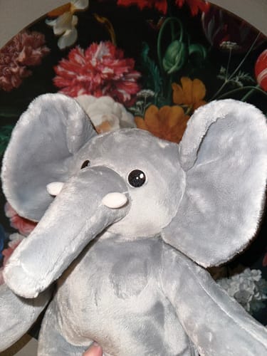 Fotorecensie van een klant over Olifant – Verzwaringsknuffel