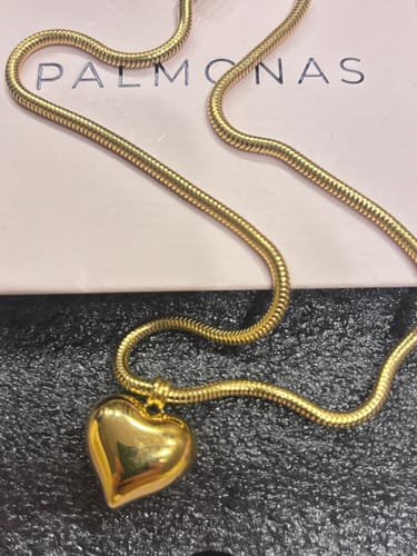 Customer photo review of Chic Solid Heart Necklace
