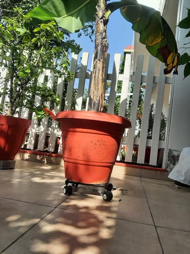 Customer photo review of United Crafts Rozy Wheel Pot Stands for Planters
