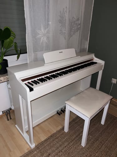 Customer photo review of Worry-Free Purchase