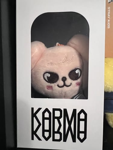 Customer photo review of STRAY KIDS - KARMA 4TH ALBUM MUSICPLANT GIFT SKZOO VER