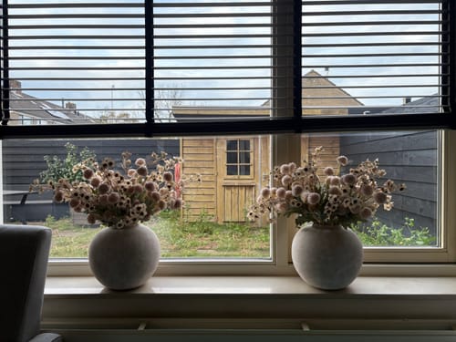 undefined review of Wax Arrangement - Crème image 1 out of 1