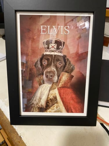 Customer photo review of The King - Custom Vintage Pet Portrait